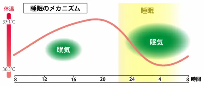 睡眠のメカニズム